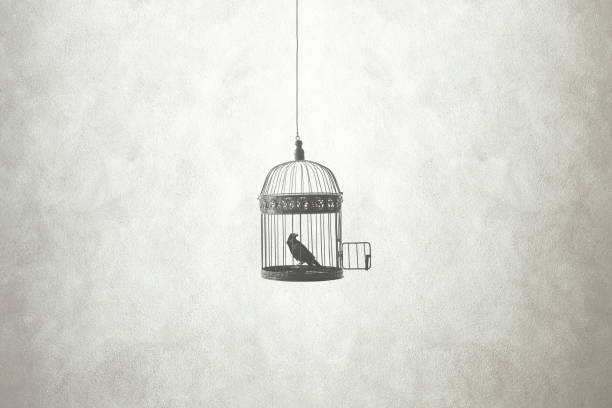 freedom minimal concept, bird in an open cage
