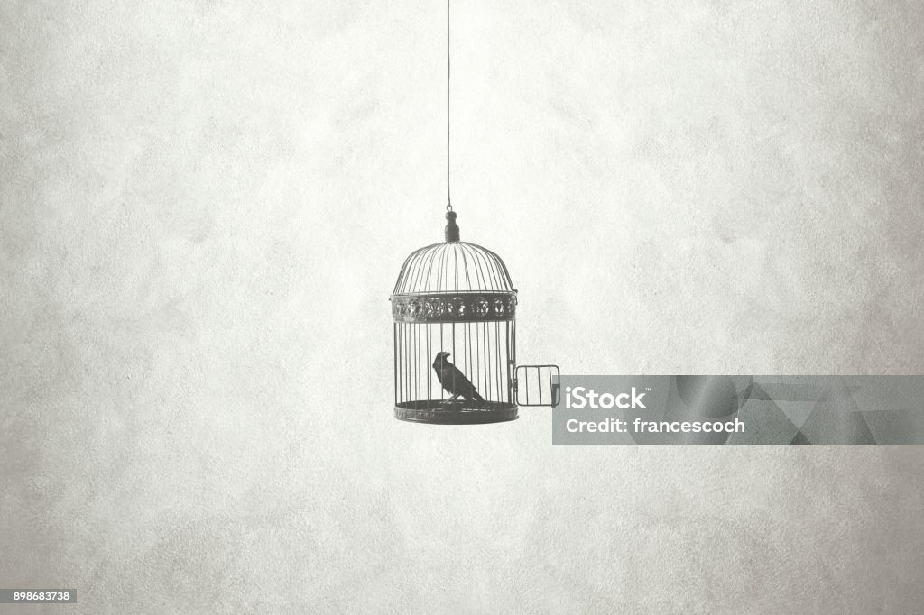 freedom minimal concept, bird in an open cage Birdcage Stock Photo