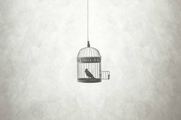 freedom minimal concept, bird in an open cage freedom minimal concept, bird in an open cage birdcage stock pictures, royalty-free photos & images