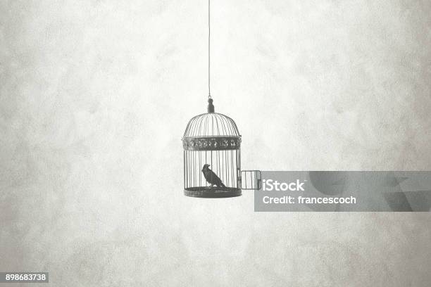 Freedom Minimal Concept Bird In An Open Cage Stock Photo - Download Image Now - Birdcage, Bird, Open