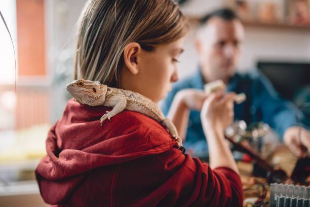 istock Lizard on girls shoulder 898684376