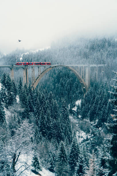 istock Scenic view of train on viaduct in Switzerland 898686766