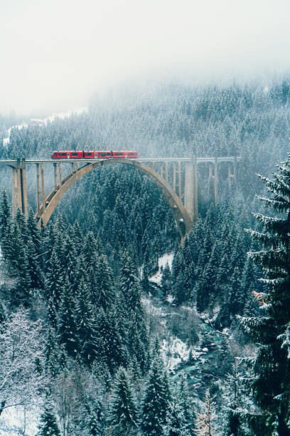 istock Scenic view of train on viaduct in Switzerland 898687408