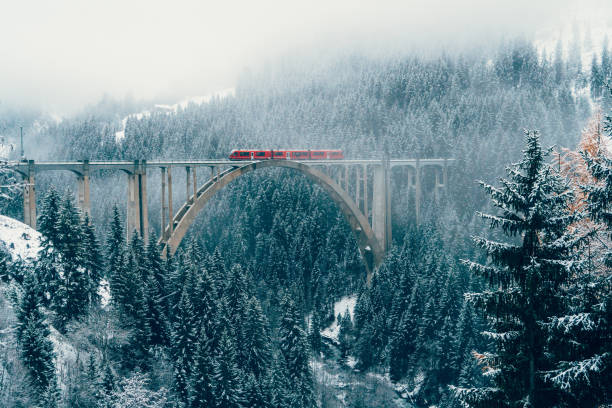 Scenic view of train on viaduct in Switzerland Scenic view of train on viaduct in Switzerland forest in winter european alps stock pictures, royalty-free photos & images