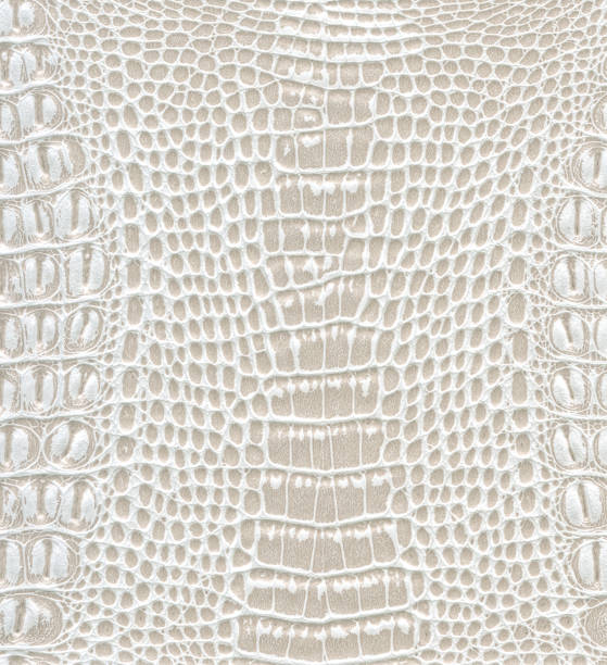 istock texture of skin 898695022