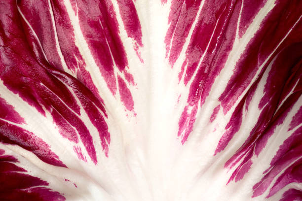 Radicchio Rosso di Treviso. Bright red with a slightly bitter flavour, Radicchio Rosso di Treviso PGI uses natural spring water to bring out its particular colour and taste.