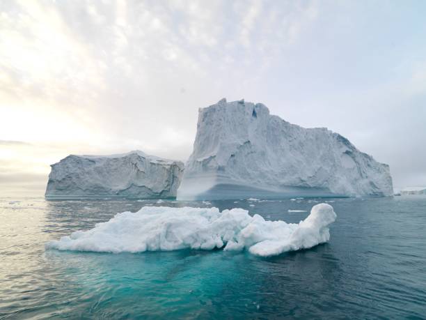 iceberg artici sull'oceano artico in groenlandia - ice floe foto e immagini stock