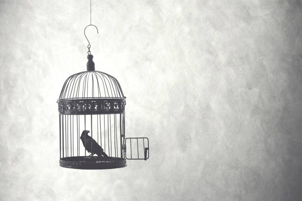 istock freedom concept, bird in an open cage 898699948