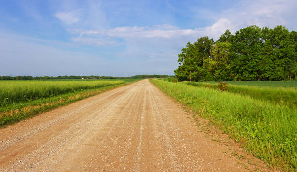 istock Gravel country road. 898703490