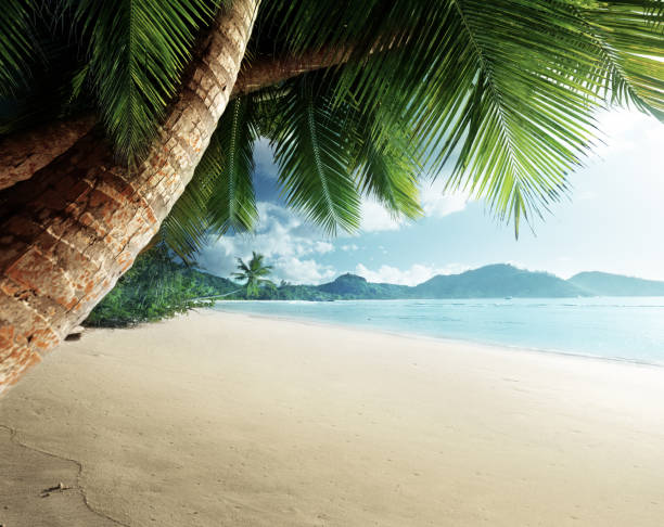 istock sunset on beach Anse Takamaka, Mahe island, Seychelles 898708920