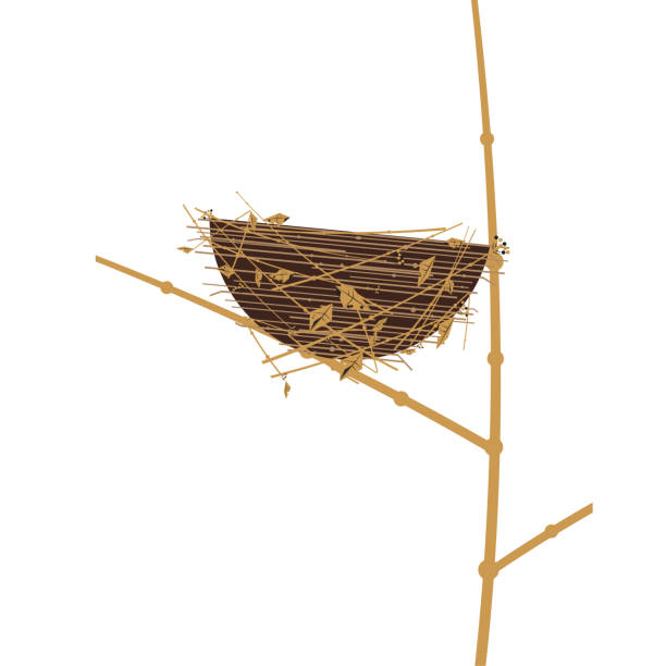 значок птичьего гнезда изолирован - birdhouse animal nest bird tree stock illustrations