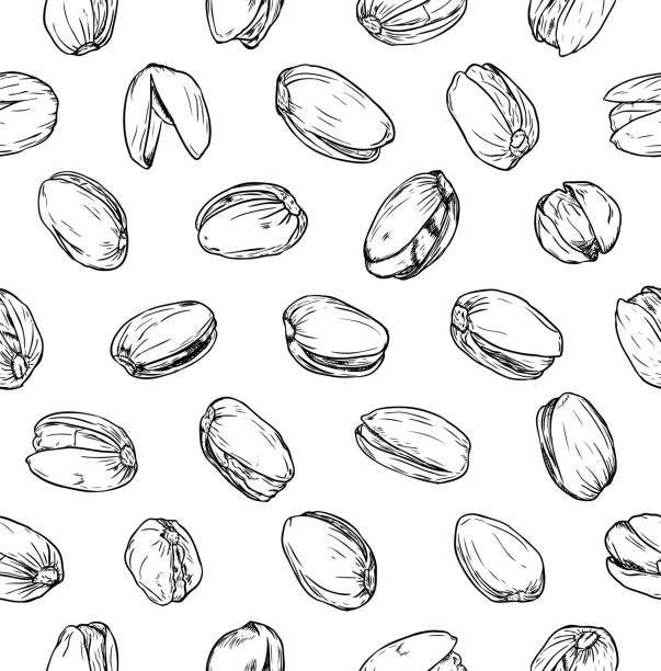 Seamless pattern with pistachio nuts. Seamless pattern with pistachio nuts, black and white in synch stock illustrations