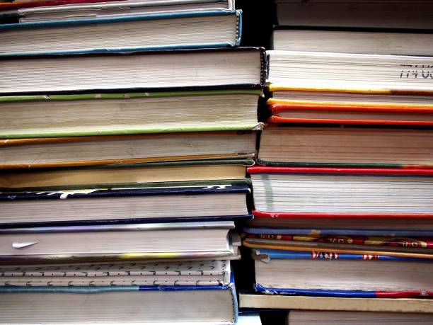 istock Stacks of books 898719016