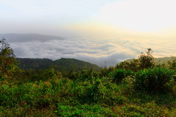 istock sunrise time and mist around mountain 898724812