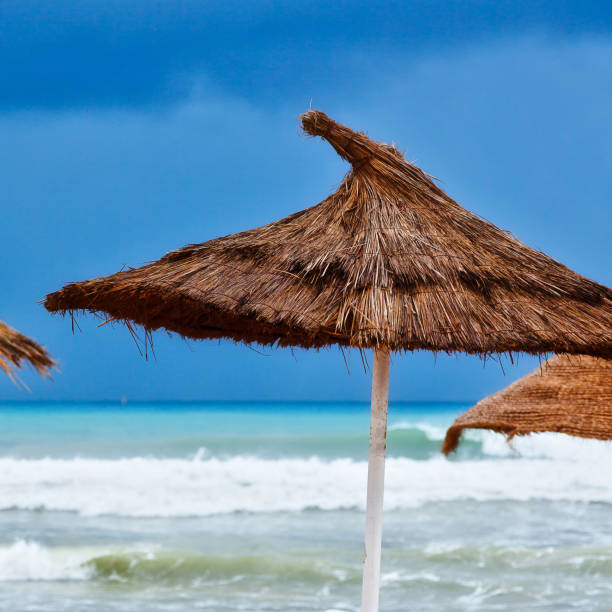 istock Sea shore with beach umbrellas is under a blue sky 898727326