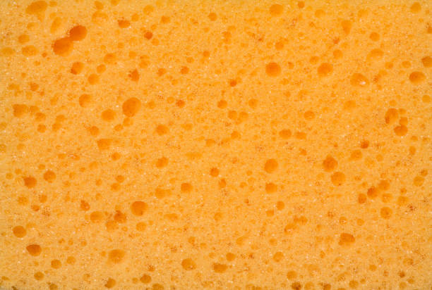 istock texture and structure of a yellow sponge 898728930