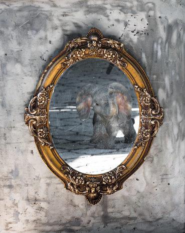 Victorian golden baroque mirror on a gray background