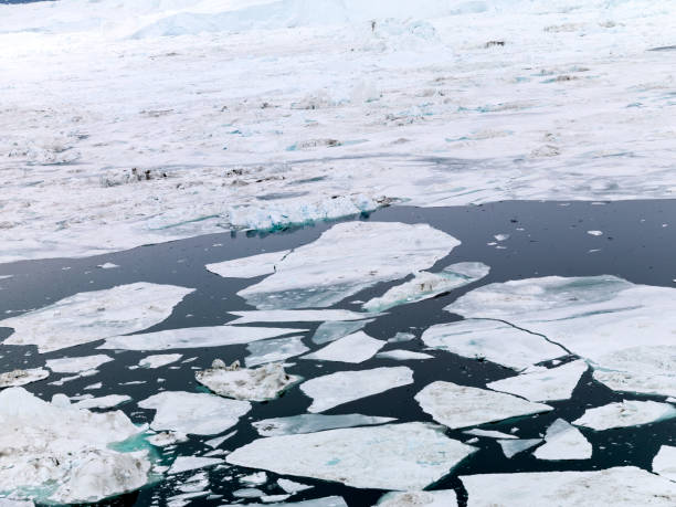 istock Aerial view of Icebergs in Arctic Pole 898736808