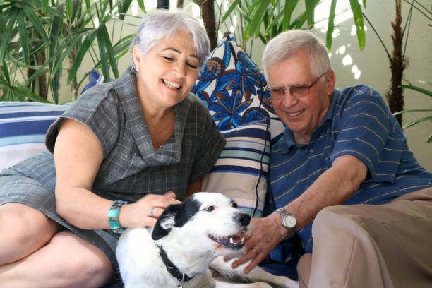 istock Senior couple and a pet 898737438