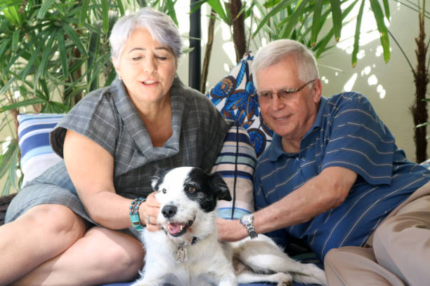 istock Senior couple and a pet 898737440
