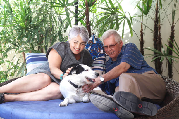 istock Senior couple and a pet 898737630