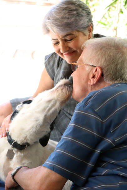 istock Senior couple and a pet 898737900