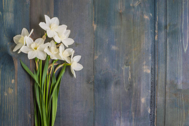 White daffodils and heart White daffodils on a rustic wooden background with copy space in a flat lay composition narcissus mythological character stock pictures, royalty-free photos & images