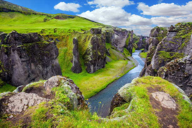 istock Green Tundra in summer 898744082