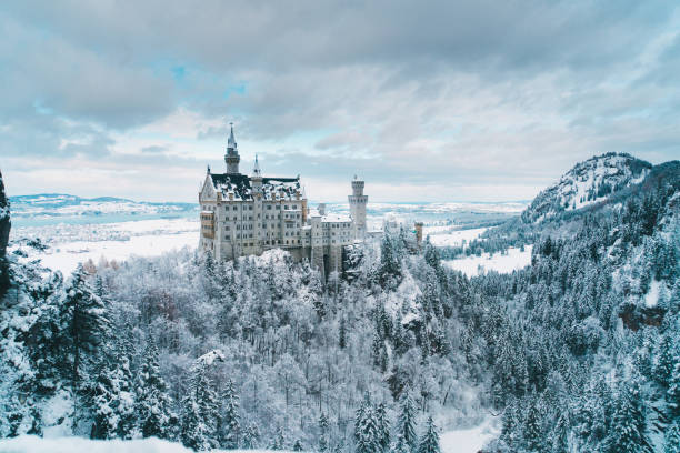 vista panorámica al castillo de neuschwanstein en alemania - bavaria allgau germany landscape fotografías e imágenes de stock