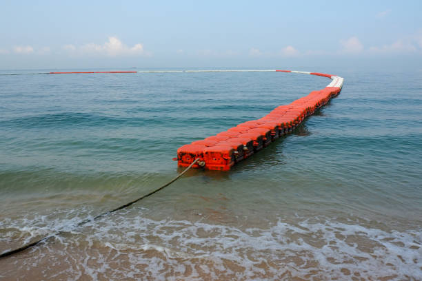 istock The bamboo slow down the waves to protect the coast. 898748110