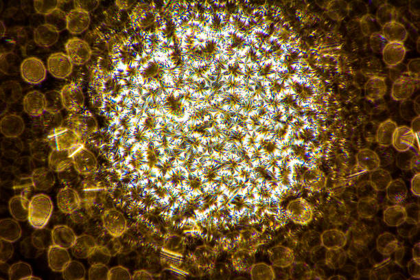 istock closeup shoot of the raindrop on the window 898751728
