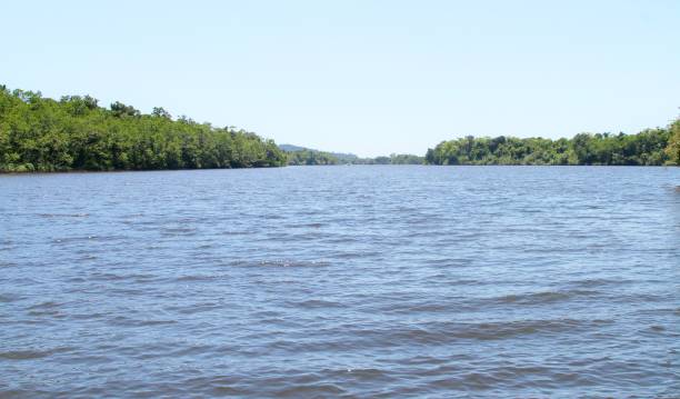 istock Daintree River, Queensland, Australia 898759928