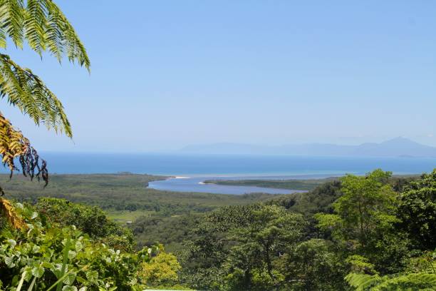 istock Cape Tribulation Beach,  Queensland, Australia 898759938
