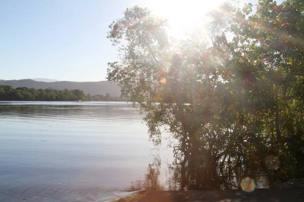 istock Daintree River, Queensland, Australia 898760024