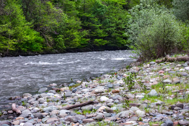 istock Mzymta River, Adler, Sochi, Russia. 898760750