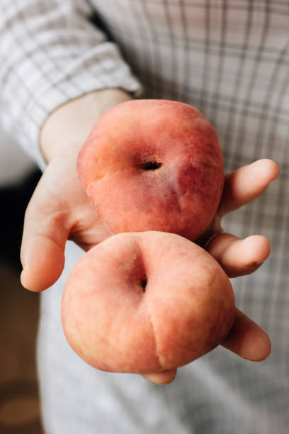 istock Woman holding two ripe peaches in her hands. 898765206