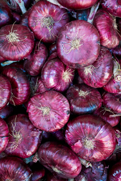 istock purple onion. Red onions 898776810