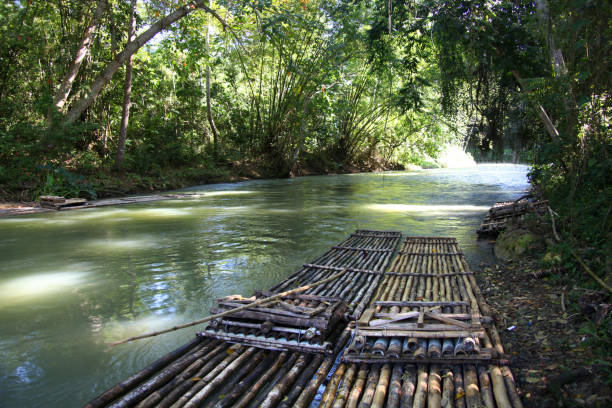 bamboo rafts prepared & ready for a popular tourist day trip on the martha brae river, falmouth, jamaica. close to montego bay & ocho rios. - wooden raft imagens e fotografias de stock