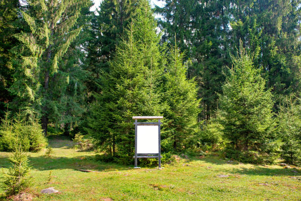 istock Blank sign board in the park 898813486