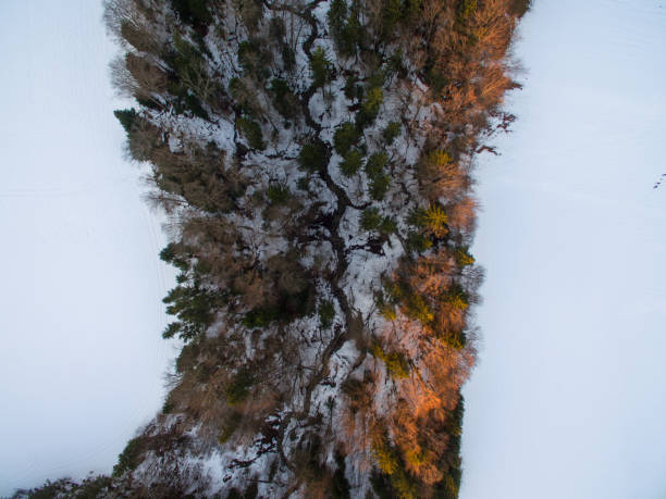 istock Aerial view: creek and trees in the snow 898813556