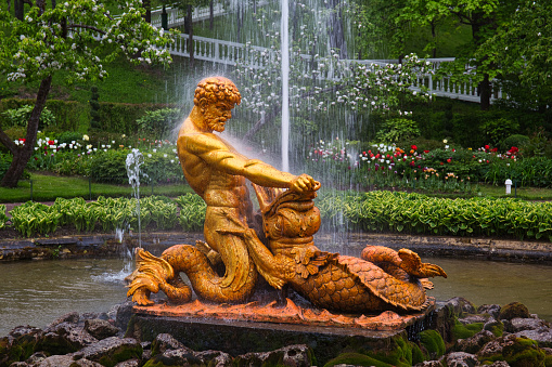 Fountains in Petergof or Peterhof park in St. Petersburg