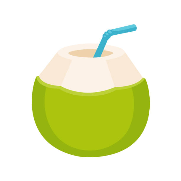 Fresh Coconut Water Drink Stock Illustration - Download Image Now - Coconut  Water, Coconut, Drinking Straw - iStock