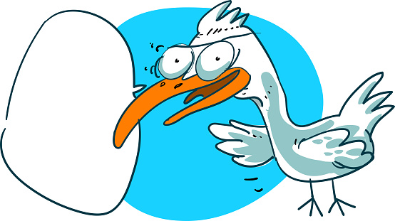 funny seagull talking to us cartoon style vector illustration,