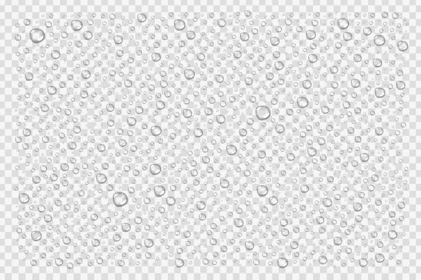 ilustraciones, imágenes clip art, dibujos animados e iconos de stock de vectores realistas aislaron gotas de agua para la decoración y revestimiento en el fondo transparente. - waterdrop