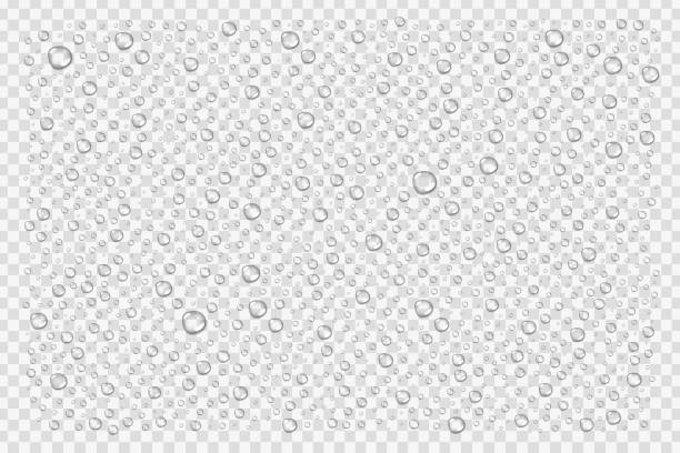 현실적인 벡터 물방울 장식와 투명 한 배경에 대 한 고립. - 물방울 stock illustrations