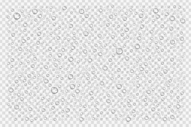Vector illustration of Vector realistic isolated water droplets for decoration and covering on the transparent background.