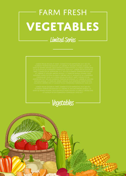 свежий баннер фермерской еды с овощами - corn stubble illustrations stock illustrations