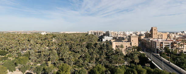 istock Panorama of the Elche city 898829206