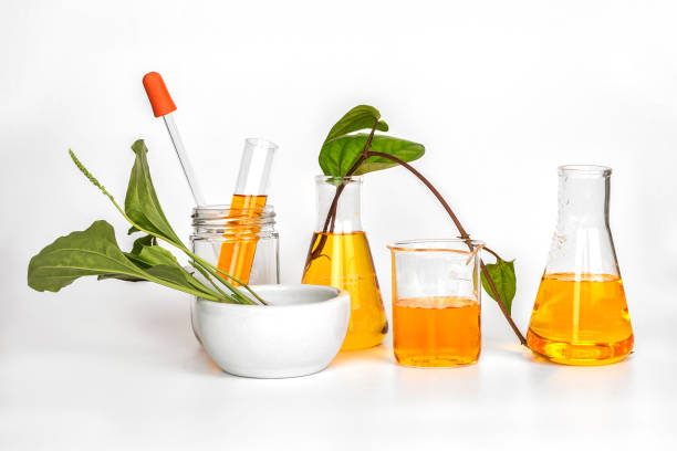 istock Beauty product natural organic botany 898829764