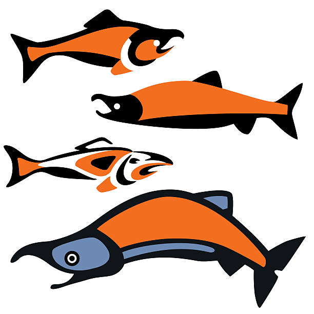 ilustrações de stock, clip art, desenhos animados e ícones de salmon.eps - alaskan salmon